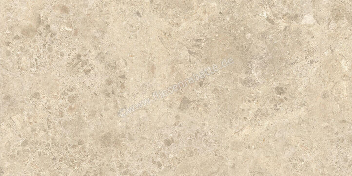  Atlas Concorde Nyra Outdoor Ambrosia 60x120x2 cm Terrassenplatte Matt Eben Sensitech HEWZ | 579053