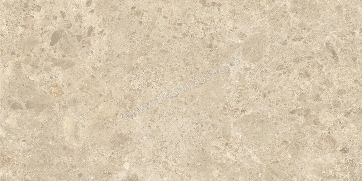  Atlas Concorde Nyra Outdoor Ambrosia 60x120x2 cm Terrassenplatte Matt Eben Sensitech HEWZ | 579056