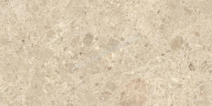  Atlas Concorde Nyra Outdoor Ambrosia 60x120x2 cm Terrassenplatte Matt Eben Sensitech HEWZ | 579062