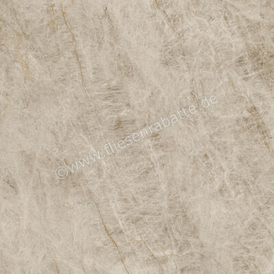  Atlas Concorde Marvel Epic Taj Mahal Noisette 120x120 cm Bodenfliese / Wandfliese Matt Eben Sensitech HEVH | 579209