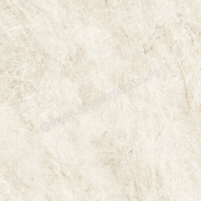  Atlas Concorde Marvel Epic Taj Mahal White 120x120 cm Bodenfliese / Wandfliese Matt Eben Sensitech HEVI | 579215