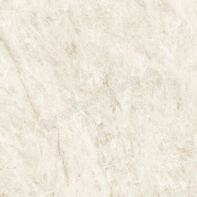  Atlas Concorde Marvel Epic Taj Mahal White 120x120 cm Bodenfliese / Wandfliese Matt Eben Sensitech HEVI | 579218