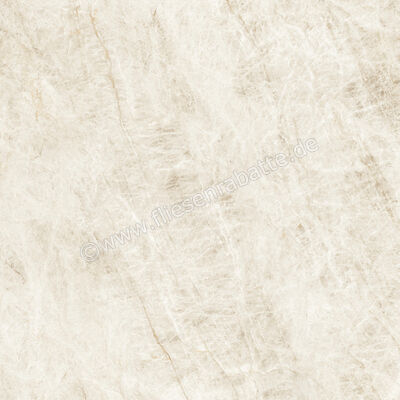  Atlas Concorde Marvel Epic Taj Mahal White 120x120 cm Bodenfliese / Wandfliese Matt Eben Sensitech HEVI | 579221