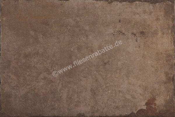  Fioranese Heritage Walnut 40.8x61.4 cm Bodenfliese / Wandfliese Matt Eben Naturale HE468 | 579722