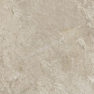  Century Cristalia Mastery 120x120 cm Bodenfliese / Wandfliese Matt Strukturiert Naturale Evolution 0144794 | 582064