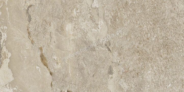  Century Cristalia Mastery 30x60 cm Bodenfliese / Wandfliese Matt Strukturiert Naturale Evolution 0144822 | 582289