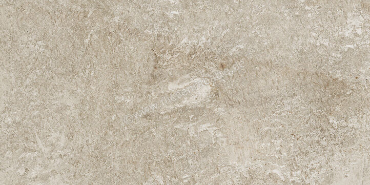  Century Cristalia Mastery 30x60 cm Bodenfliese / Wandfliese Matt Strukturiert Naturale Evolution 0144822 | 582292