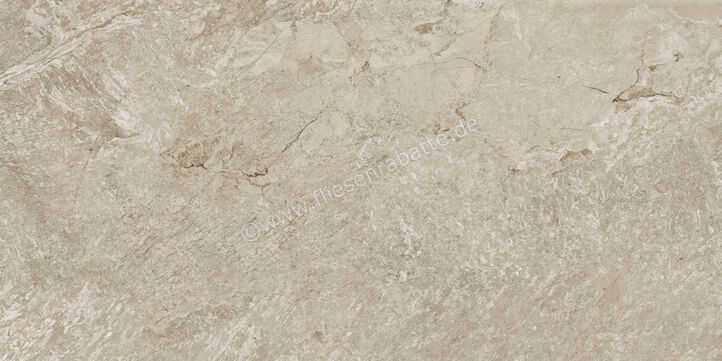  Century Cristalia Mastery 60x120 cm Bodenfliese / Wandfliese Matt Strukturiert Naturale Evolution 0144804 | 582559