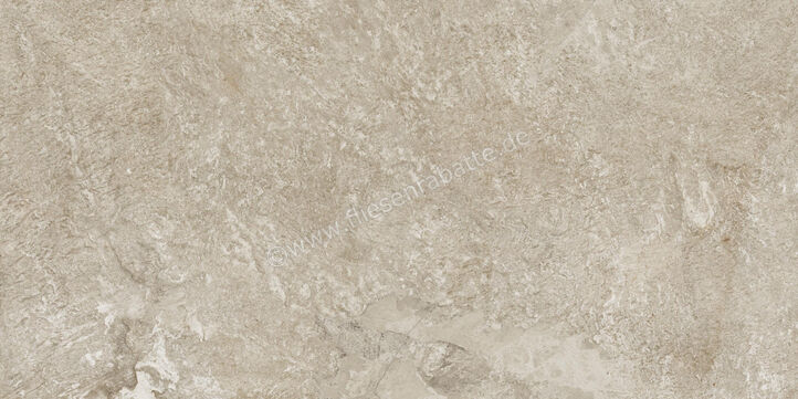  Century Cristalia Mastery 60x120 cm Bodenfliese / Wandfliese Matt Strukturiert Naturale Evolution 0144804 | 582580