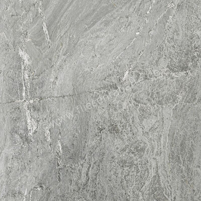  Century Cristalia Cosmology 60x60 cm Bodenfliese / Wandfliese Matt Strukturiert Naturale Evolution 0144820 | 582742