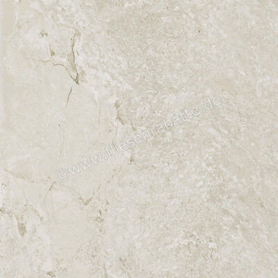  Century Cristalia Adamant 60x60 cm Bodenfliese / Wandfliese Matt Strukturiert Naturale Evolution 0144815 | 582823