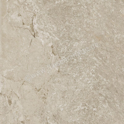  Century Cristalia Mastery 60x60 cm Bodenfliese / Wandfliese Matt Strukturiert Naturale Evolution 0144814 | 582847