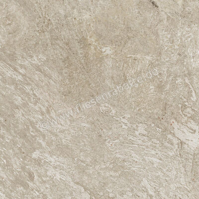  Century Cristalia Mastery 60x60 cm Bodenfliese / Wandfliese Matt Strukturiert Naturale Evolution 0144814 | 582850