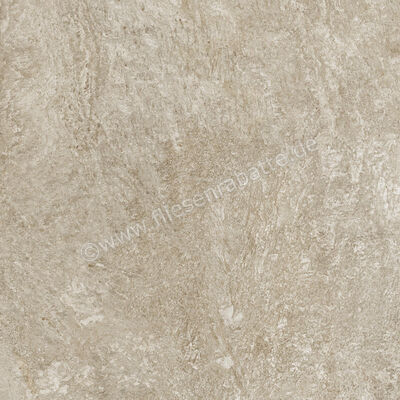  Century Cristalia Mastery 60x60 cm Bodenfliese / Wandfliese Matt Strukturiert Naturale Evolution 0144814 | 582856