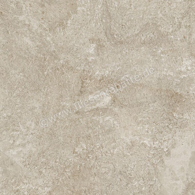  Century Cristalia Mastery 60x60 cm Bodenfliese / Wandfliese Matt Strukturiert Naturale Evolution 0144814 | 582862