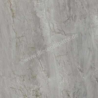  Century Cristalia Cliffside 60x120 cm Bodenfliese / Wandfliese Matt Strukturiert Naturale Evolution 0144809 | 582892