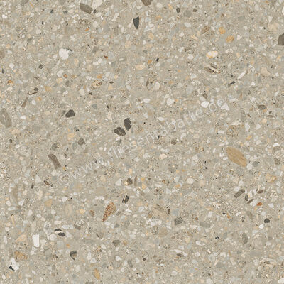  Marca Corona Arkistyle Shade Cold 60x60 cm Bodenfliese / Wandfliese Matt Eben Naturale K140 | 586453