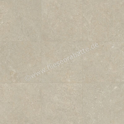  Marca Corona Arkistyle Limy 120x120 cm Bodenfliese / Wandfliese Matt Eben Naturale J146 | 586687