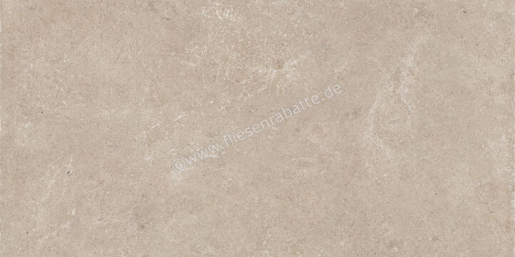  Century Rocknest Hilltop 60x120 cm Bodenfliese / Wandfliese Matt Strukturiert Naturale 0140647 | 587278