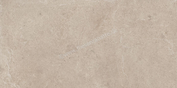  Century Rocknest Hilltop 60x120 cm Bodenfliese / Wandfliese Matt Strukturiert Naturale 0140647 | 587284