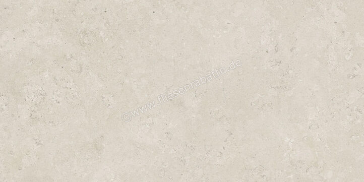  Century Rocknest Ethereal 60x120 cm Bodenfliese / Wandfliese Matt Strukturiert Naturale 0140650 | 587347
