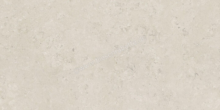  Century Rocknest Ethereal 60x120 cm Bodenfliese / Wandfliese Matt Strukturiert Naturale 0140650 | 587350