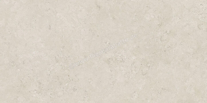  Century Rocknest Ethereal 60x120 cm Bodenfliese / Wandfliese Matt Strukturiert Naturale 0140650 | 587356