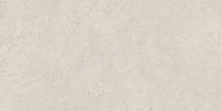  Century Rocknest Ethereal 60x120 cm Bodenfliese / Wandfliese Matt Strukturiert Naturale 0140650 | 587365