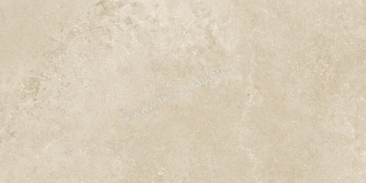  Century Rocknest Maplerock 60x120 cm Bodenfliese / Wandfliese Matt Strukturiert Naturale 0140651 | 587389