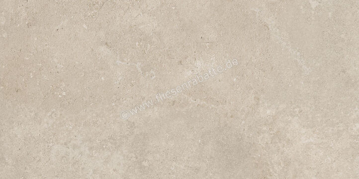  Century Rocknest Richmond 60x120 cm Bodenfliese / Wandfliese Matt Strukturiert Naturale 0140658 | 587479