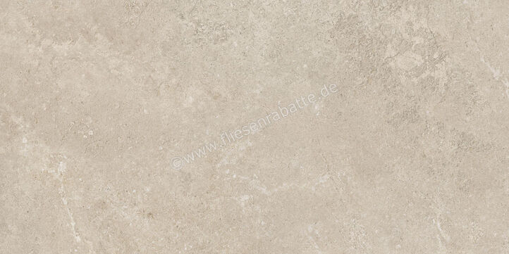  Century Rocknest Richmond 60x120 cm Bodenfliese / Wandfliese Matt Strukturiert Naturale 0140658 | 587482