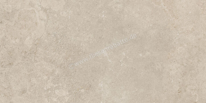  Century Rocknest Richmond 60x120 cm Bodenfliese / Wandfliese Matt Strukturiert Naturale 0140658 | 587491