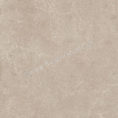  Century Rocknest Hilltop 120x120 cm Bodenfliese / Wandfliese Matt Strukturiert Naturale 0140831 | 587638
