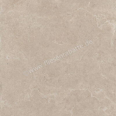  Century Rocknest Hilltop 120x120 cm Bodenfliese / Wandfliese Matt Strukturiert Naturale 0140831 | 587644