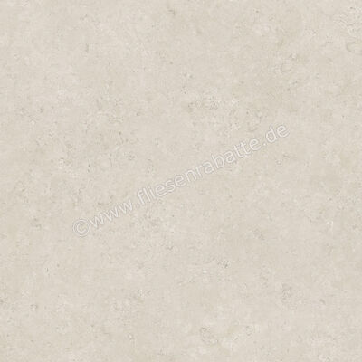  Century Rocknest Ethereal 120x120 cm Bodenfliese / Wandfliese Matt Strukturiert Naturale 0140834 | 587728