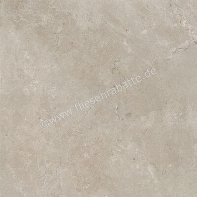  Century Rocknest Dreamance 60x60 cm Bodenfliese / Wandfliese Matt Strukturiert Naturale 0141017 | 588319