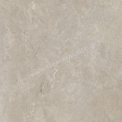  Century Rocknest Dreamance 60x60 cm Bodenfliese / Wandfliese Matt Strukturiert Naturale 0141017 | 588334