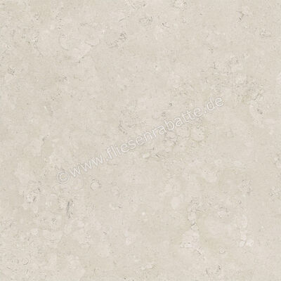  Century Rocknest Ethereal 60x60 cm Bodenfliese / Wandfliese Matt Strukturiert Naturale 0141018 | 588349
