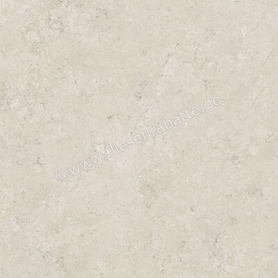  Century Rocknest Ethereal 60x60 cm Bodenfliese / Wandfliese Matt Strukturiert Naturale 0141018 | 588355