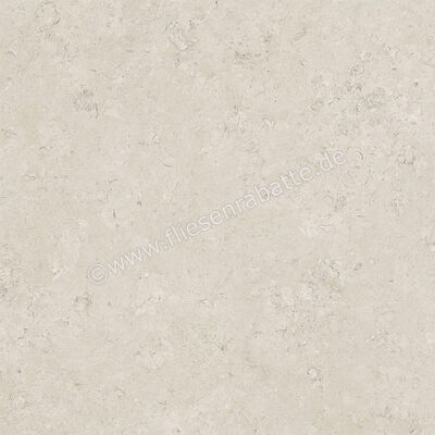  Century Rocknest Ethereal 60x60 cm Bodenfliese / Wandfliese Matt Strukturiert Naturale 0141018 | 588358