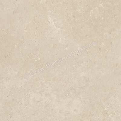  Century Rocknest Maplerock 60x60 cm Bodenfliese / Wandfliese Matt Strukturiert Naturale 0141019 | 588376