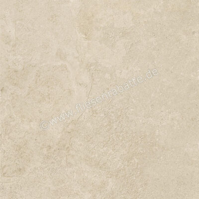  Century Rocknest Maplerock 60x60 cm Bodenfliese / Wandfliese Matt Strukturiert Naturale 0141019 | 588382