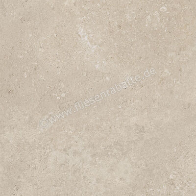  Century Rocknest Richmond 60x60 cm Bodenfliese / Wandfliese Matt Strukturiert Naturale 0141023 | 588403