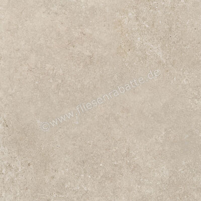 Century Rocknest Richmond 60x60 cm Bodenfliese / Wandfliese Matt Strukturiert Naturale 0141023 | 588418