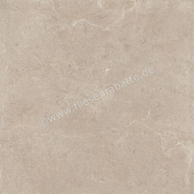  Century Rocknest Hilltop 120x120 cm Bodenfliese / Wandfliese Matt Strukturiert Soft 0141058 | 588568