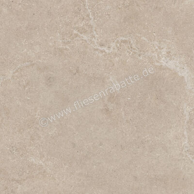  Century Rocknest Hilltop 80x80 cm Bodenfliese / Wandfliese Matt Strukturiert Soft 0141105 | 588688