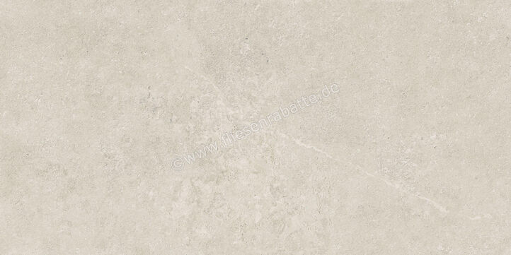  Century Rocknest Stonehill 60x120 cm Bodenfliese / Wandfliese Matt Strukturiert Soft 0141259 | 588748