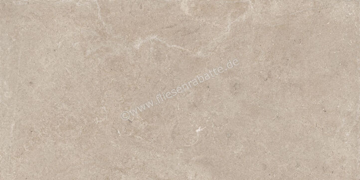  Century Rocknest Hilltop 60x120 cm Bodenfliese / Wandfliese Matt Strukturiert Soft 0141261 | 588766