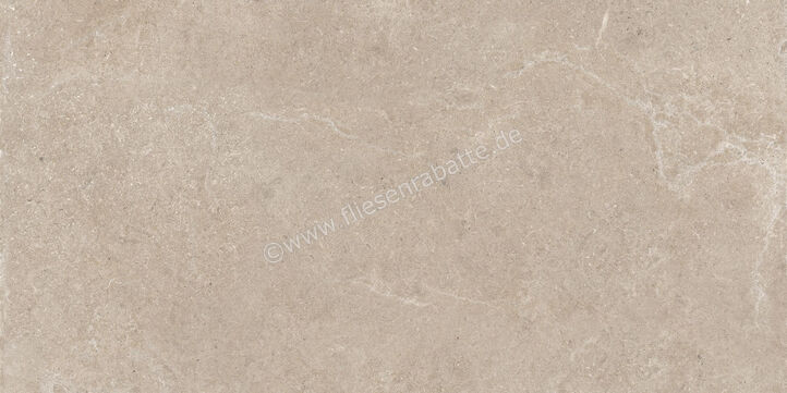  Century Rocknest Hilltop 60x120 cm Bodenfliese / Wandfliese Matt Strukturiert Soft 0141261 | 588769