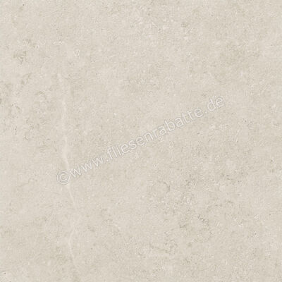  Century Rocknest Stonehill 60x60 cm Bodenfliese / Wandfliese Matt Strukturiert Soft 0141270 | 588964